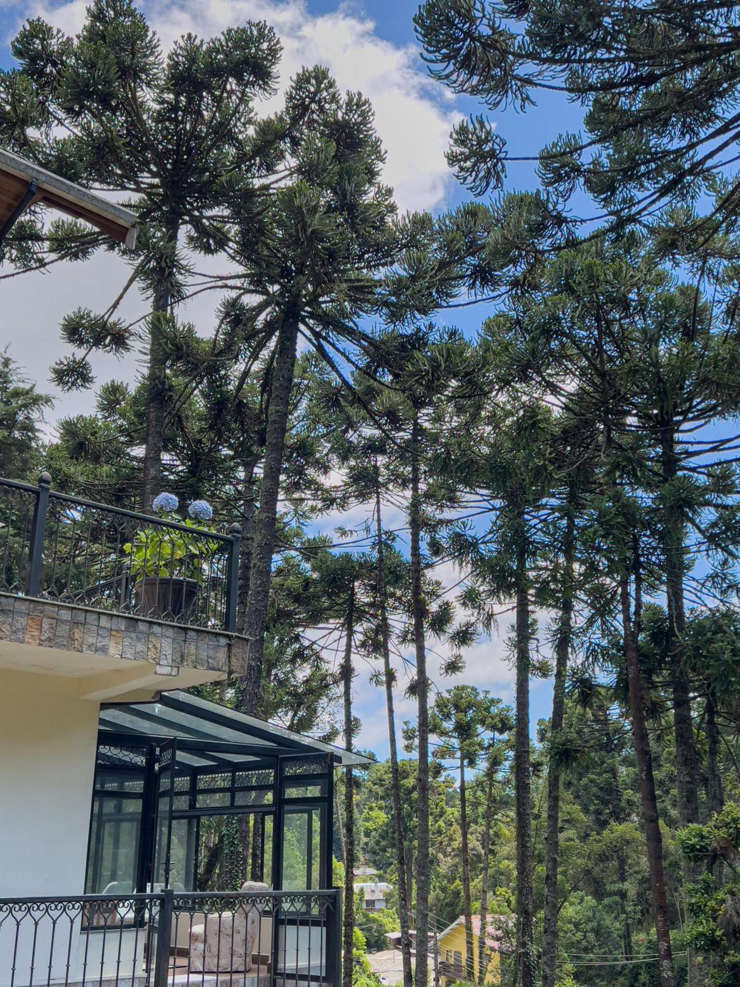 Recanto Do Pepe Hotel Campos do Jordão Exterior foto